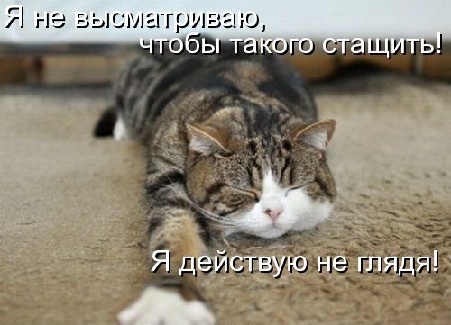 Марина Герко (@amentet91) on Twitter photo 