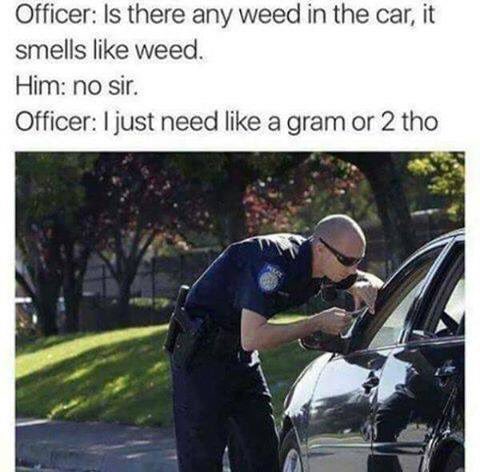 riptide_sisters's tweet image. #stonermeme #permastoned #hellomrofficer #staylifted