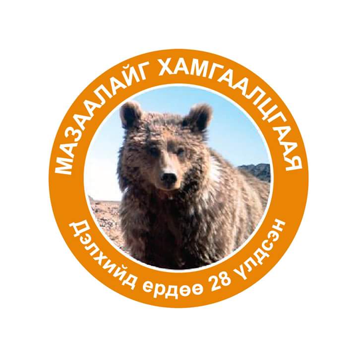 Zulaashka_d's tweet image. #Мазаалай #Mazaalai