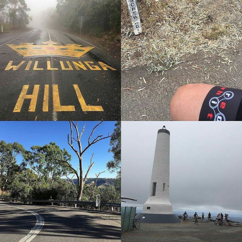 redwhite_cc's tweet image. #wymtm #shutuplegs #cyclist Anyone else tackled the festive 500?

Repost @mch_truelove
・・・
Highlights of my #festiv…