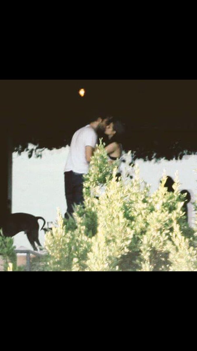 stew_robsten's tweet image. This.