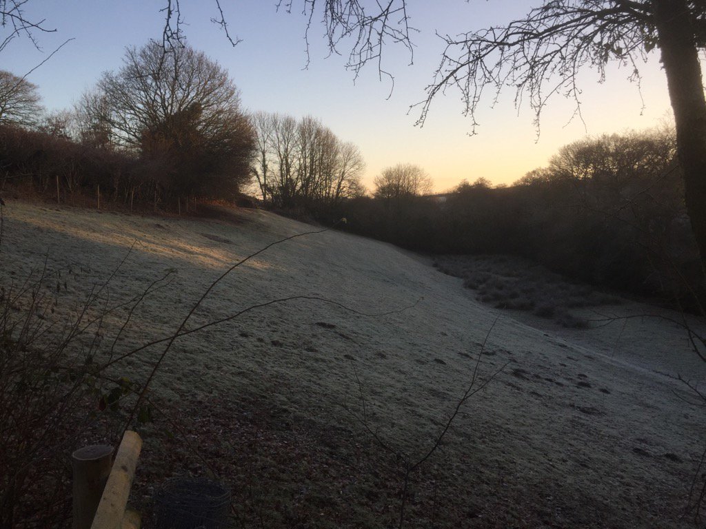 At last the rain has stopped and its a beautiful morning <a href="/WoolleyAnimals/">Woolley Animals</a>  #alpaca #devon #frost #valais
