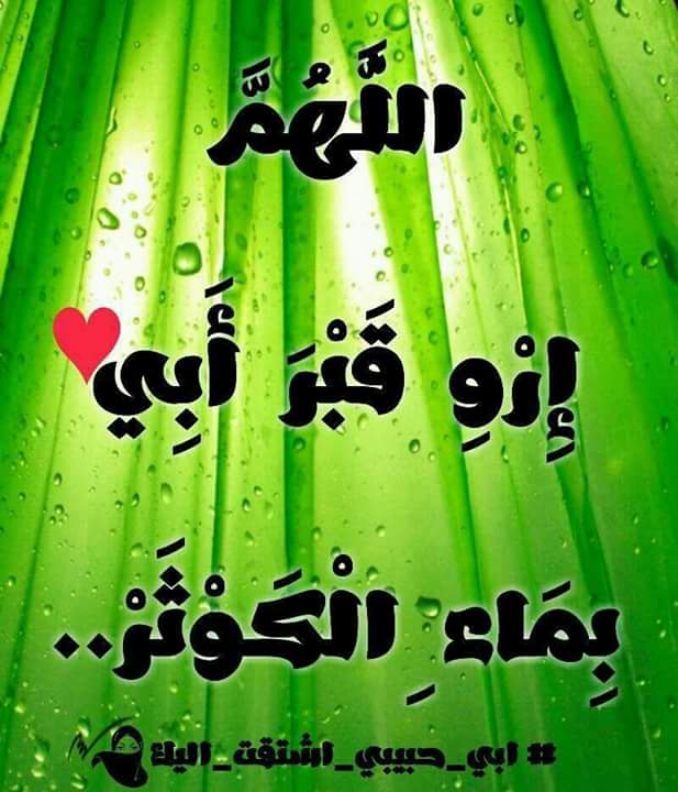 GuioussaWassila's tweet photo. @RiadhWalid75917 أمين يارب https://t.co/xG9sP3mDDz