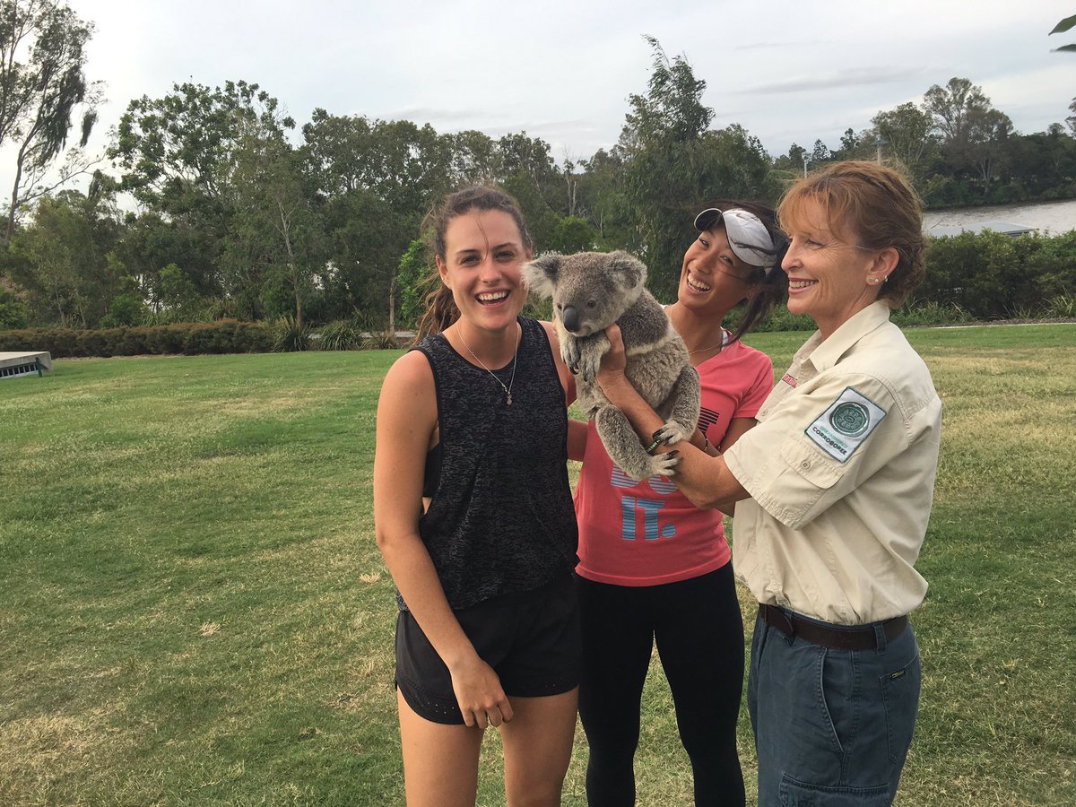 TennisAustralia tweet media