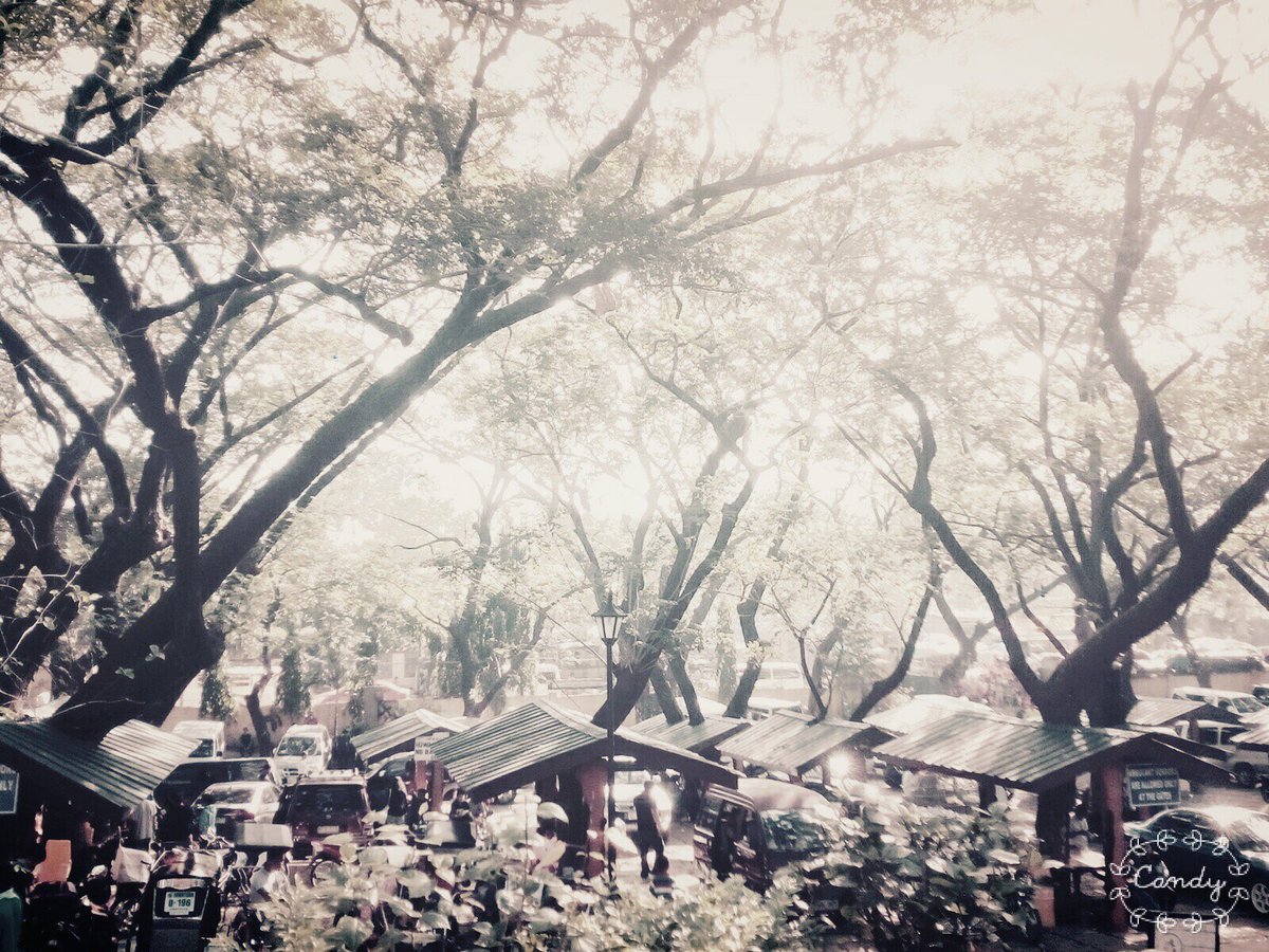 senorito_suho's tweet photo. When this bunny isn't just the funniest member of señoritos squad but also a photographer.  Pretty isn't it my angel?  Its just like you <3 https://t.co/a1vM2hR99c