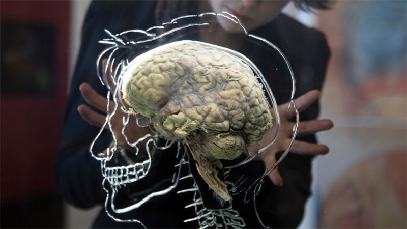 Cómo preparar tu cerebro para la era del super envejecimiento gizmo.do/X5qlWem