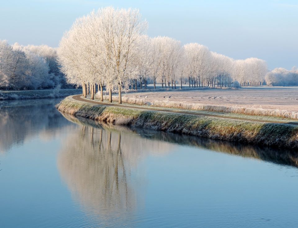 Les rives de la #Saône choisies à l'unanimité comme nouvelle couverture Facebook! (Photo Patrick Mathie) #hiver #givre #hautesaone