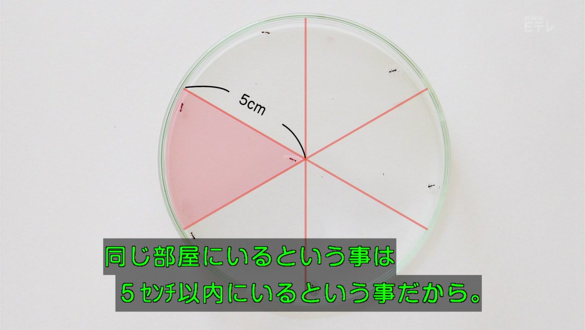 数学クラスタによる大人のピタゴラスイッチ実況17年 7ページ目 Togetter