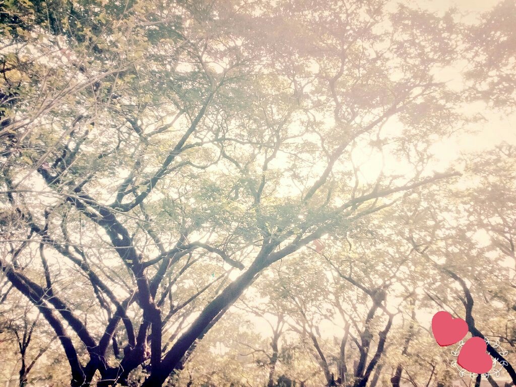 senorito_suho's tweet photo. I really should become a photographer :3 https://t.co/q59bWgofz7