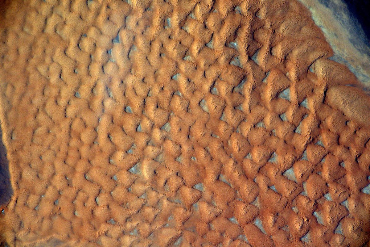 Thom_astro's tweet photo. A closer look at the sand dunes. I wouldn’t like to be lost in such a repetitive landscape… #Proxima https://t.co/AqAuYZo4Km https://t.co/u5yqJiQ509