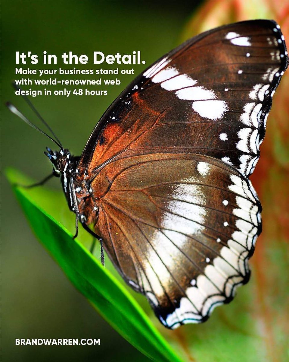 Смартфон fly cirrus 13. Fly s505. Лучший fly. Смартфон fly cirrus fs 518. Телефон fly cirrus 11.