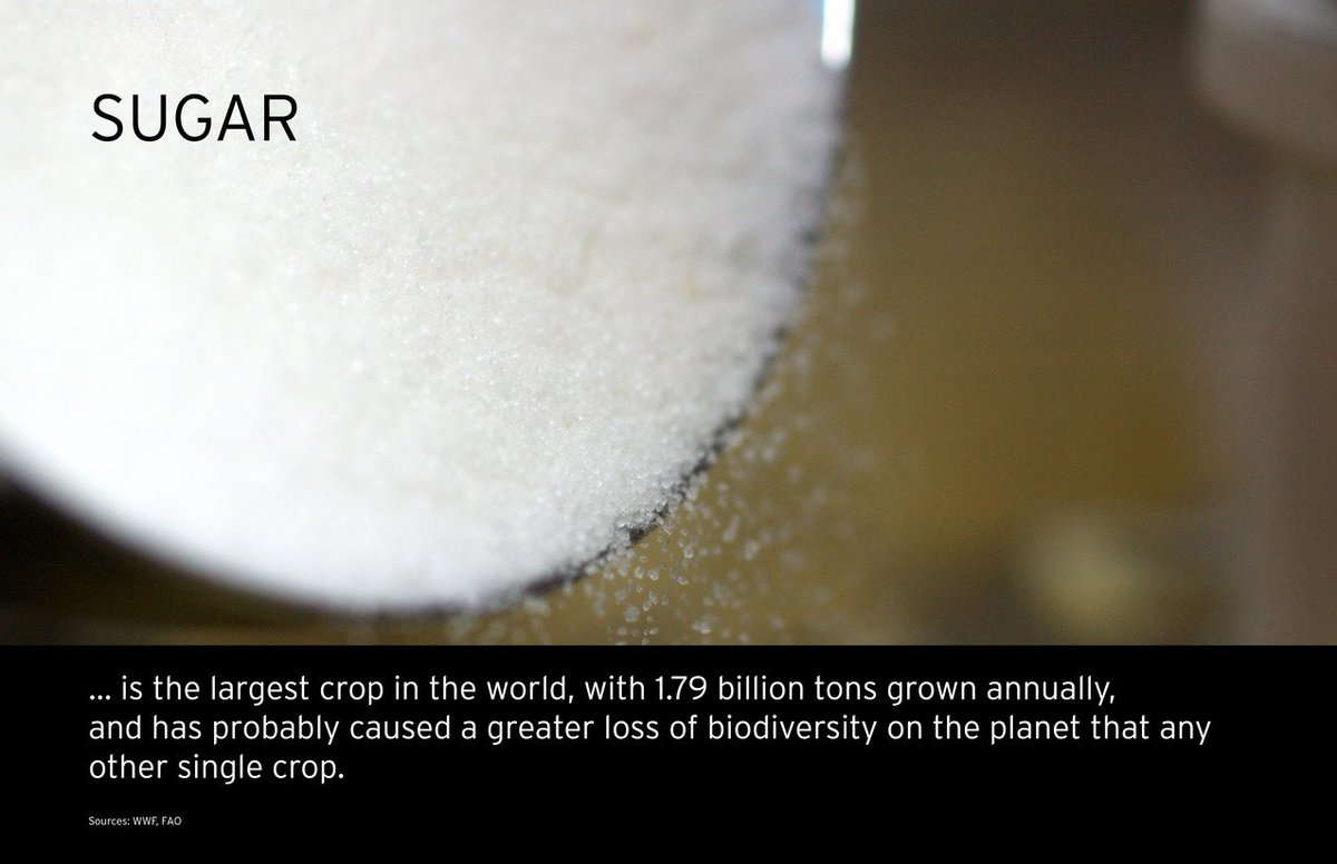 What Is Missing? tweet media