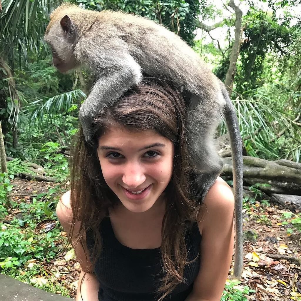 Monkey selfie and a rasta Insta pic offer lessons in fair use