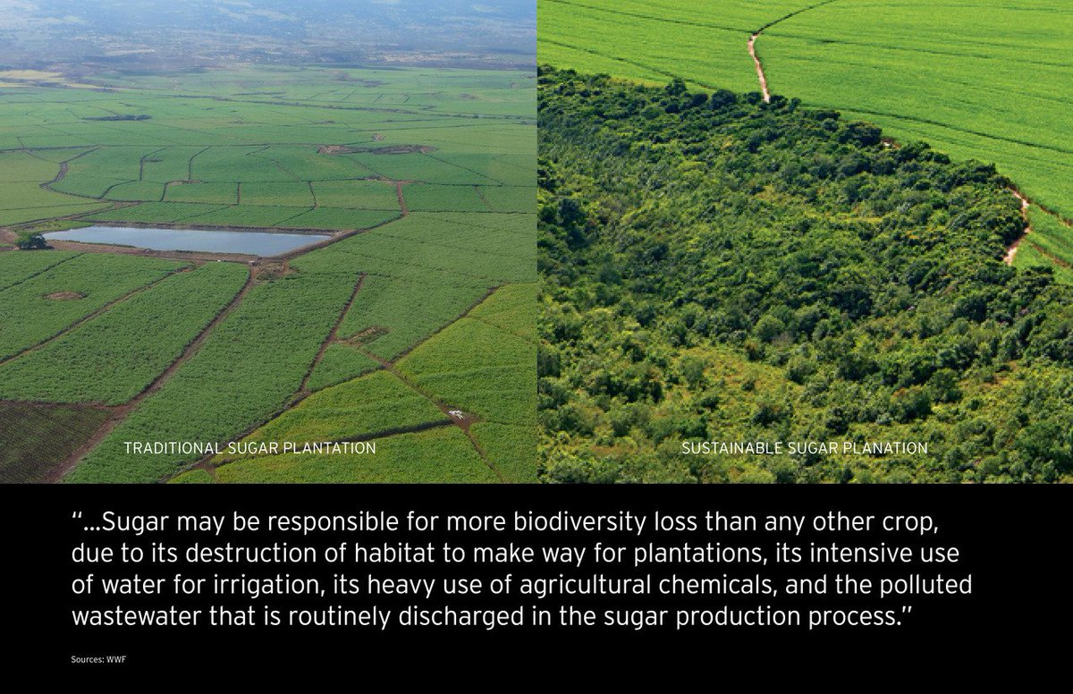 What Is Missing? tweet media