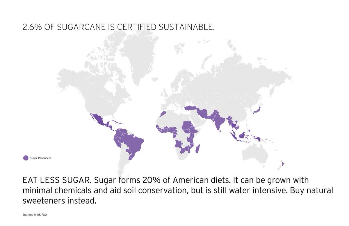 What Is Missing? tweet media