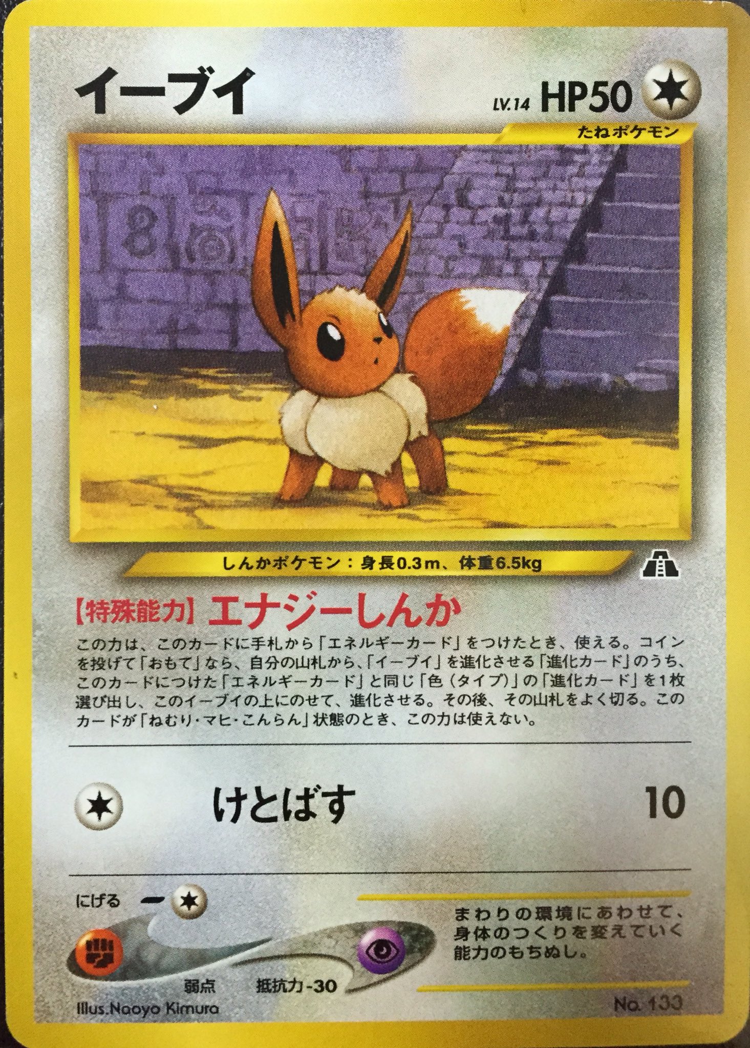 正規販売代理店 ポケモンカード 旧裏 イーブイ進化系コレクション 代引不可 Www Yourazlawyer Com