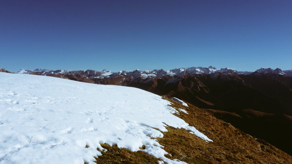ALBERTO_1977_'s tweet photo. @altobrembo @Orobiando @OrobieAlps @TurismoeInnova @daniele_astori @filippogherard4 #MonteTriomen #2251mt https://t.co/BYiqDdiVCV