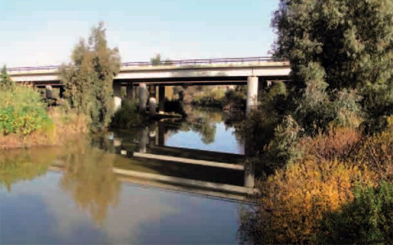 Monplamar tweet media