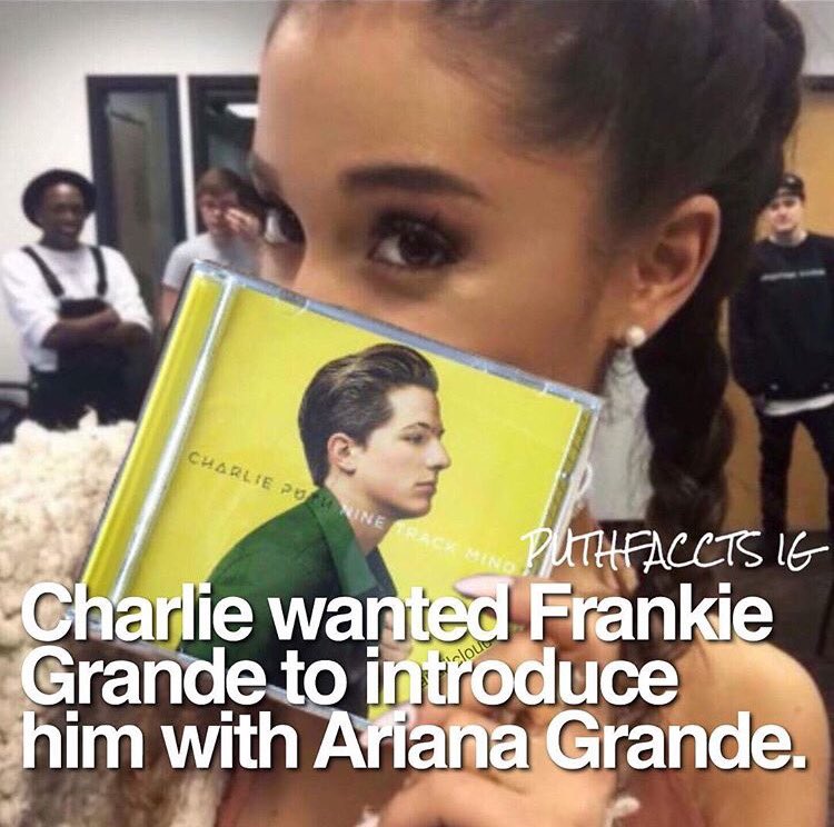 rhysm_jazzy's tweet image. 加工してあると思うけどインスタで見つけた！！😍
いつかコラボ見たい💓
#arianator
#puthinator