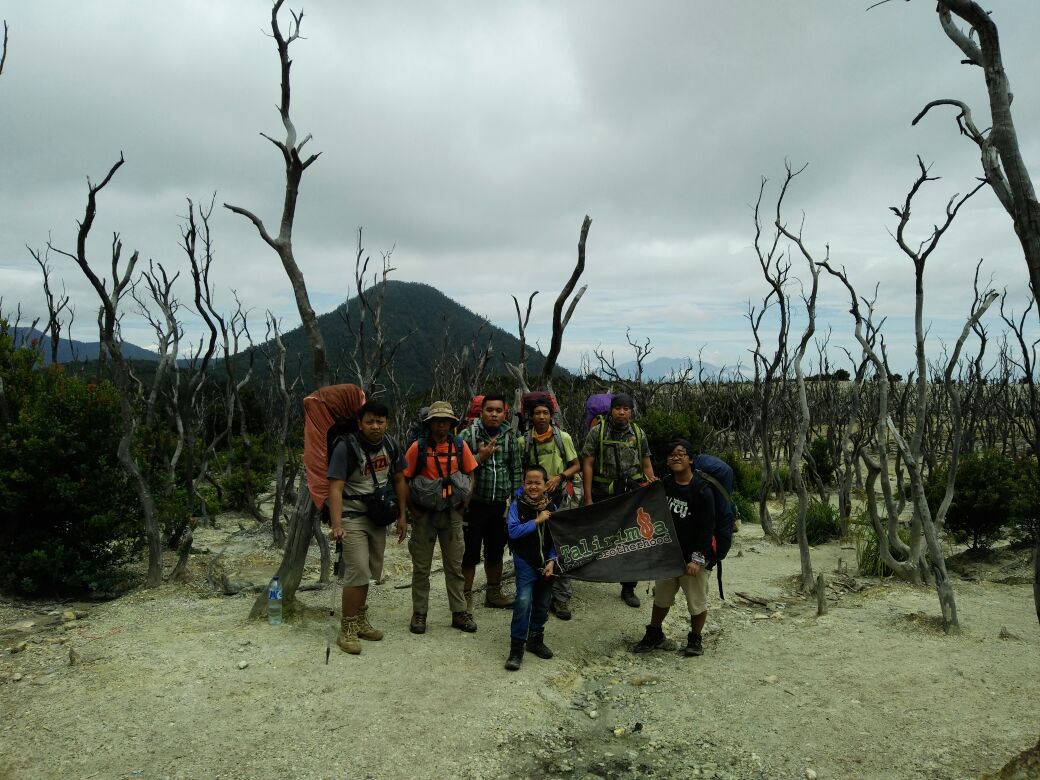 talirimba indonesia tweet media