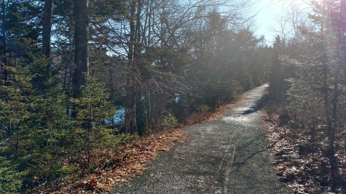 SoloExplore's tweet photo. First Trail of the year and what a fabulous day #mcintoshrun @HalifaxTrails @HikeNS @NSTrails #fitness #nature #exercise @hfxnovascotia https://t.co/jVFie0iX0X