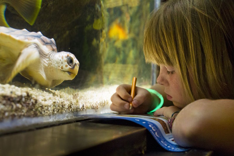 Blooloop's tweet photo. In September @vanaqua hosted the #9thIAC
https://t.co/cfu6HNavKC https://t.co/n73ySXGZGL
