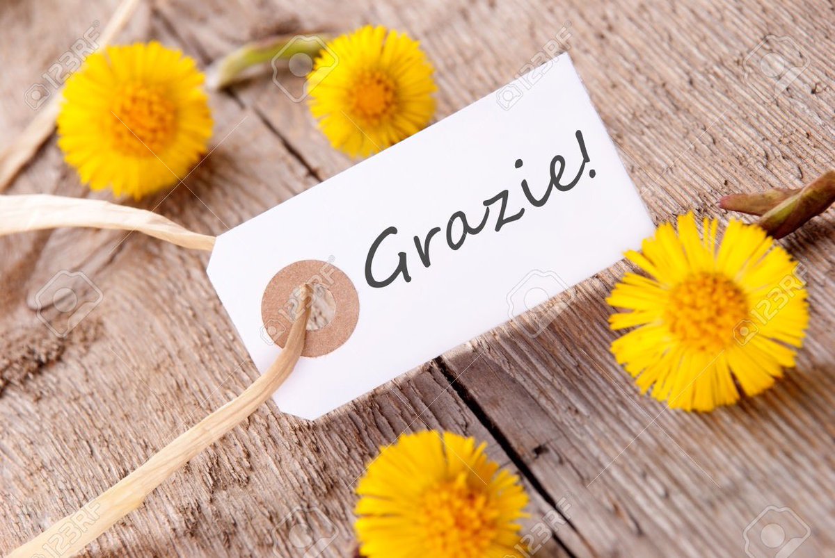 <a href="/MeloniFulvio/">Fulvio Meloni</a> Grazie Ful! <a href="/mbi_bridal/">大滝　均（はぴねす きんちゃん）</a> <a href="/Gabriele_Corno/">Gabriele Corno</a> <a href="/CarlRamallo/">Carl Ramallo 👍😁</a> <a href="/shellieblum/">Shellie Blum</a> <a href="/Ms_Terree/">Terree Rola</a> <a href="/RomanJancic/">Roman Jancic</a> <a href="/oda_f/">Fujio Oda💫</a> <a href="/dream77id/">副業</a> <a href="/jbjktf/">qp</a> <a href="/jbwell77/">Janessa Bracewell</a>