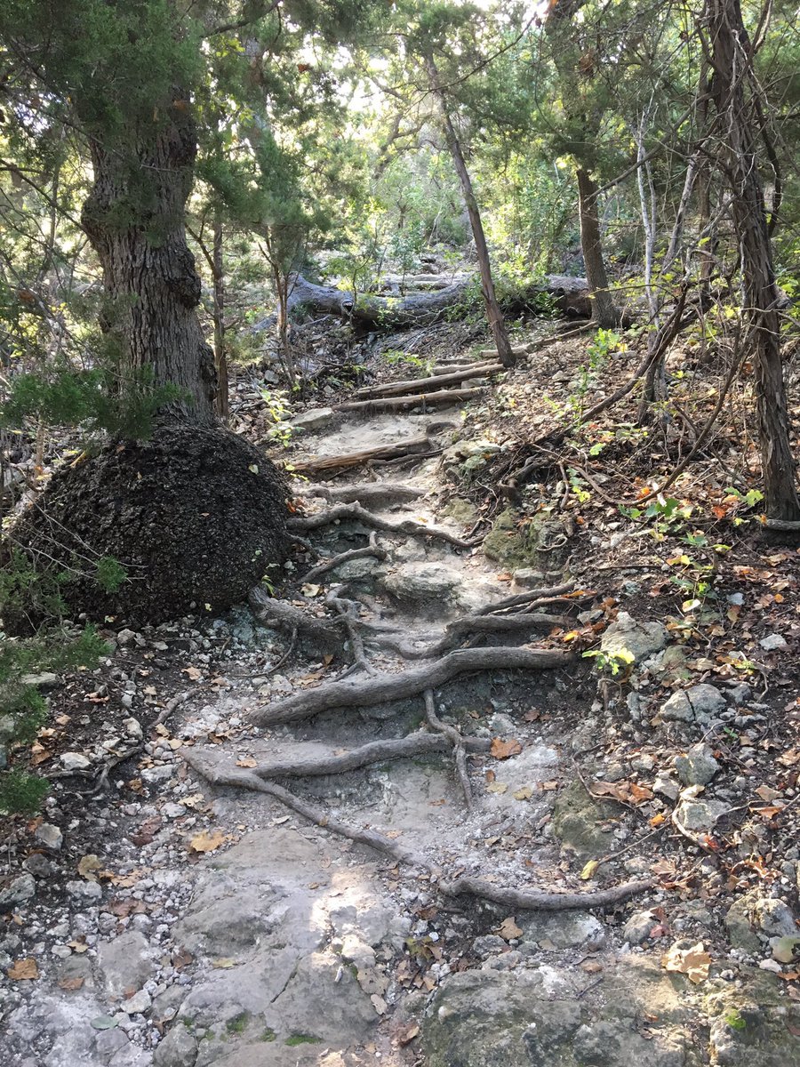 SAParksandRec's tweet image. #HappyNewYear Where will 2017 take you? The possibilities are endless. #SAParksandRec