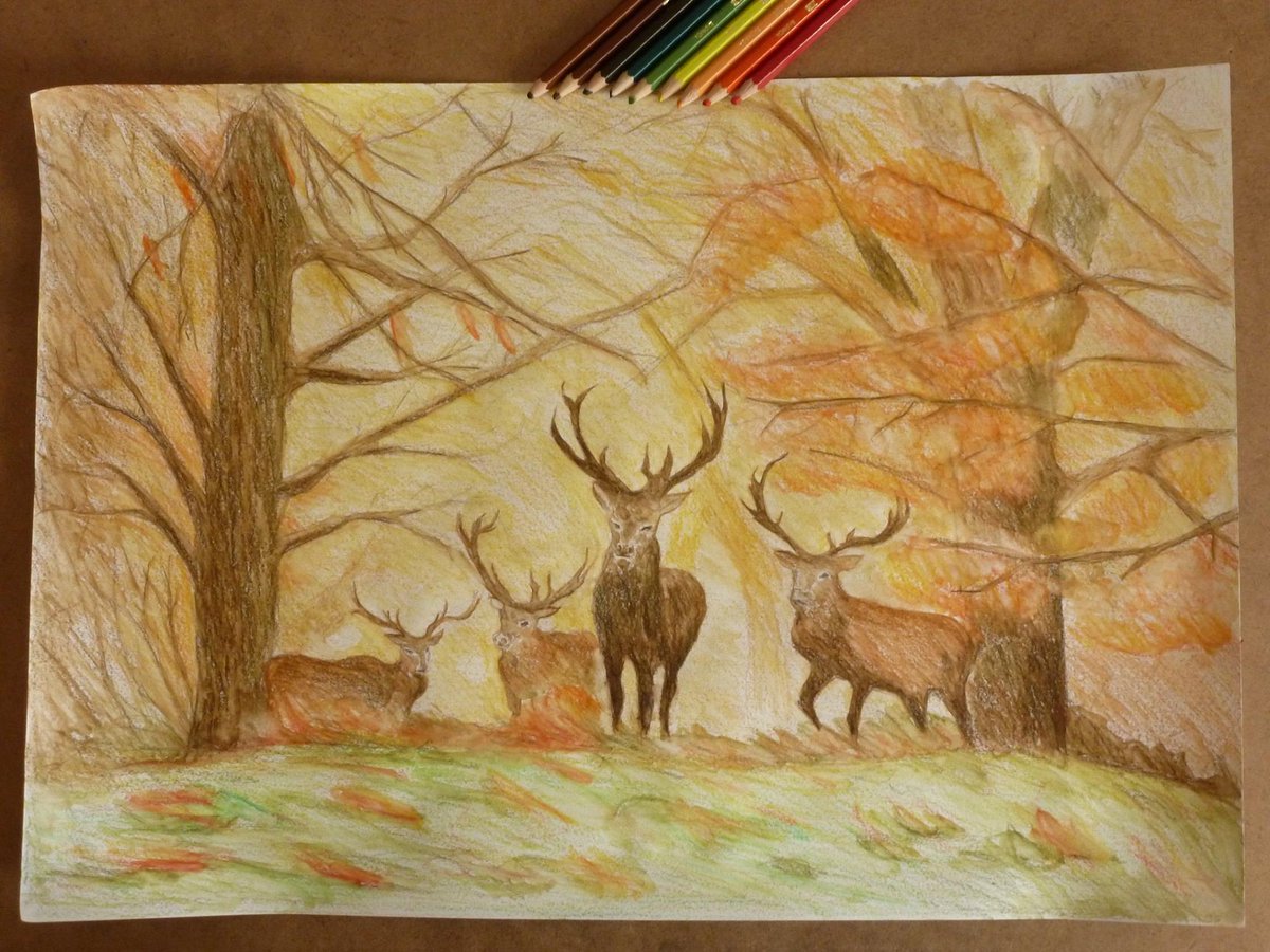 Aysegul Bildircin On Twitter Sonbahar Karakalem Cizim Cizgi