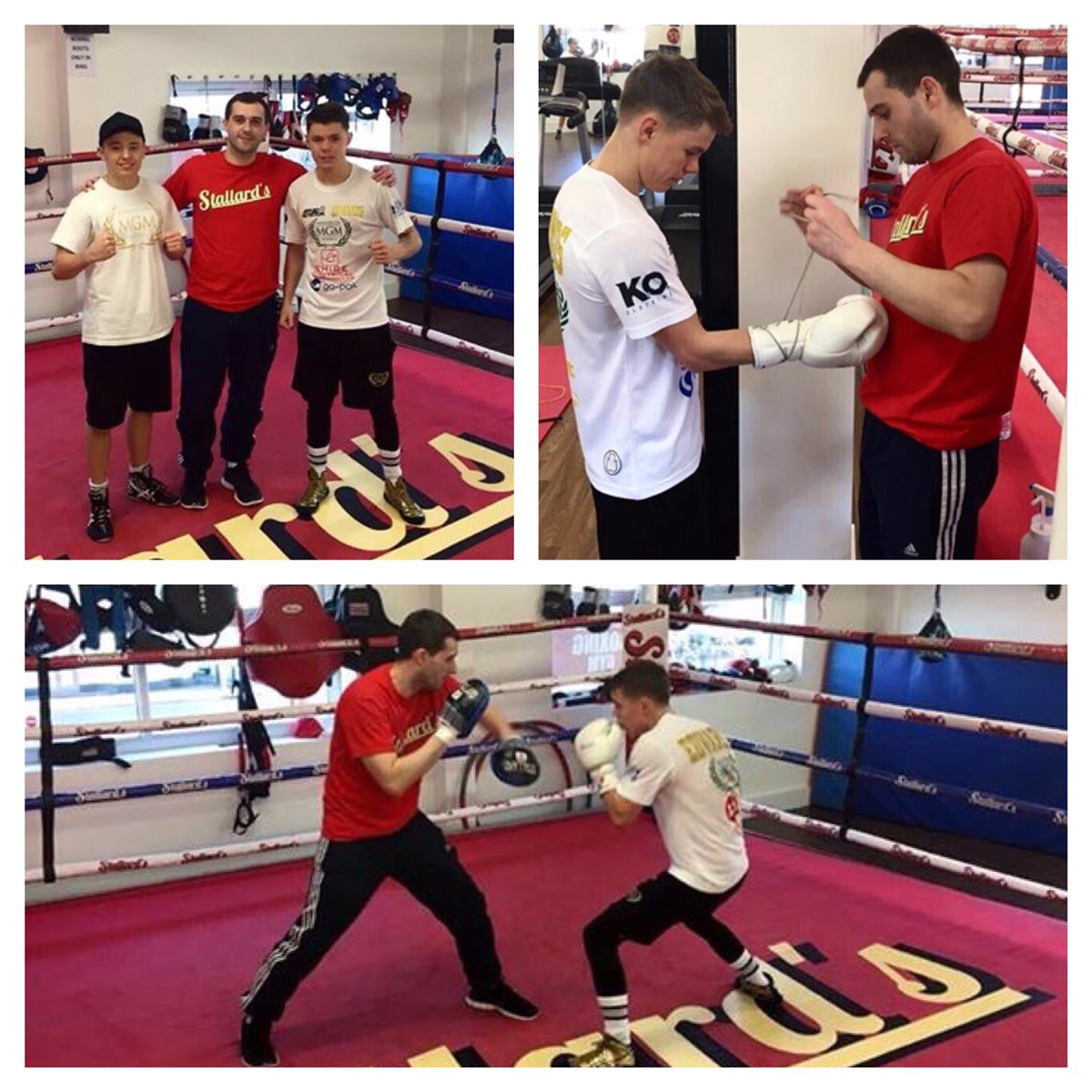 StallardsBoxing's tweet image. A pleasure to have the Edwards brothers @CEdwardsBoxing and @SunnyEdwards at the gym today. #bankholiday #teamedwards