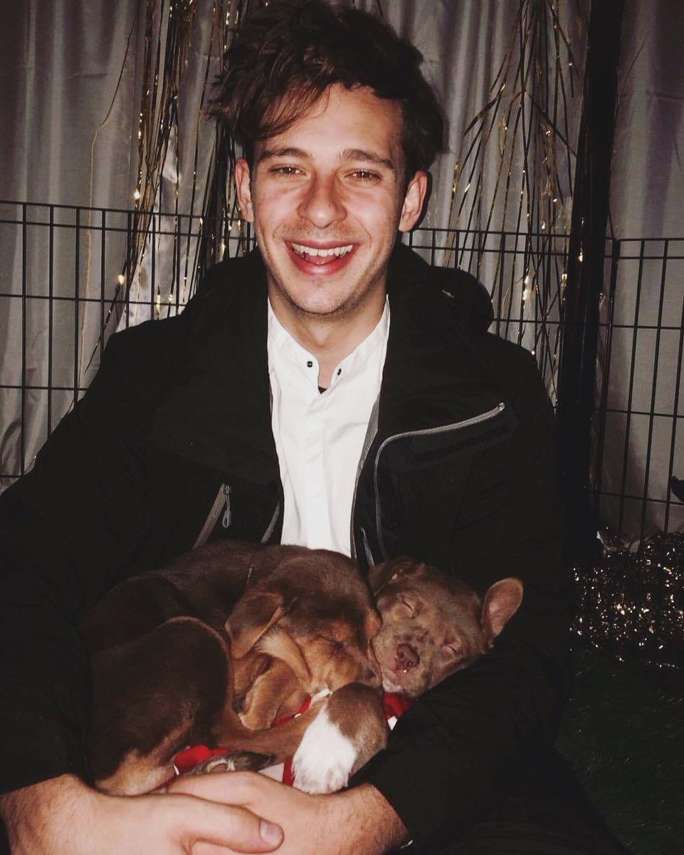 flumemusic's tweet photo. Post show puppies 🐶 #thisishappiness @HumaneSocietyTT @itsSnowGlobe #adopttahoepets https://t.co/HYCNfB6SUg