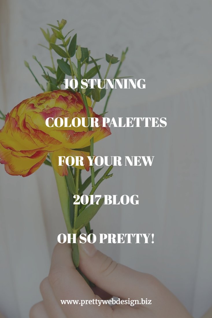 pretty_web's tweet image. 10 stunning colour palettes to inspire your new 2017 blog prettywebdesign.biz/colour-palette… @UKBloggers1 @UKBlogRT