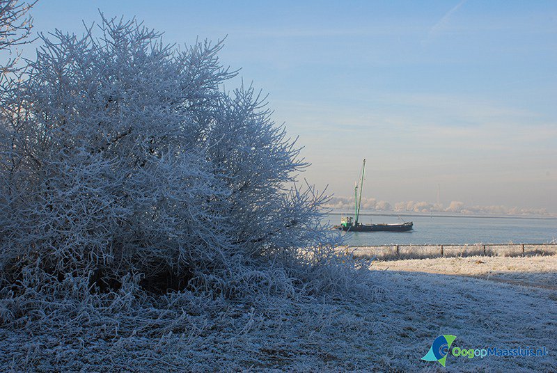 De Beste wensen voor 2017 oogopmaassluis.nl/2017/01/02/de-…