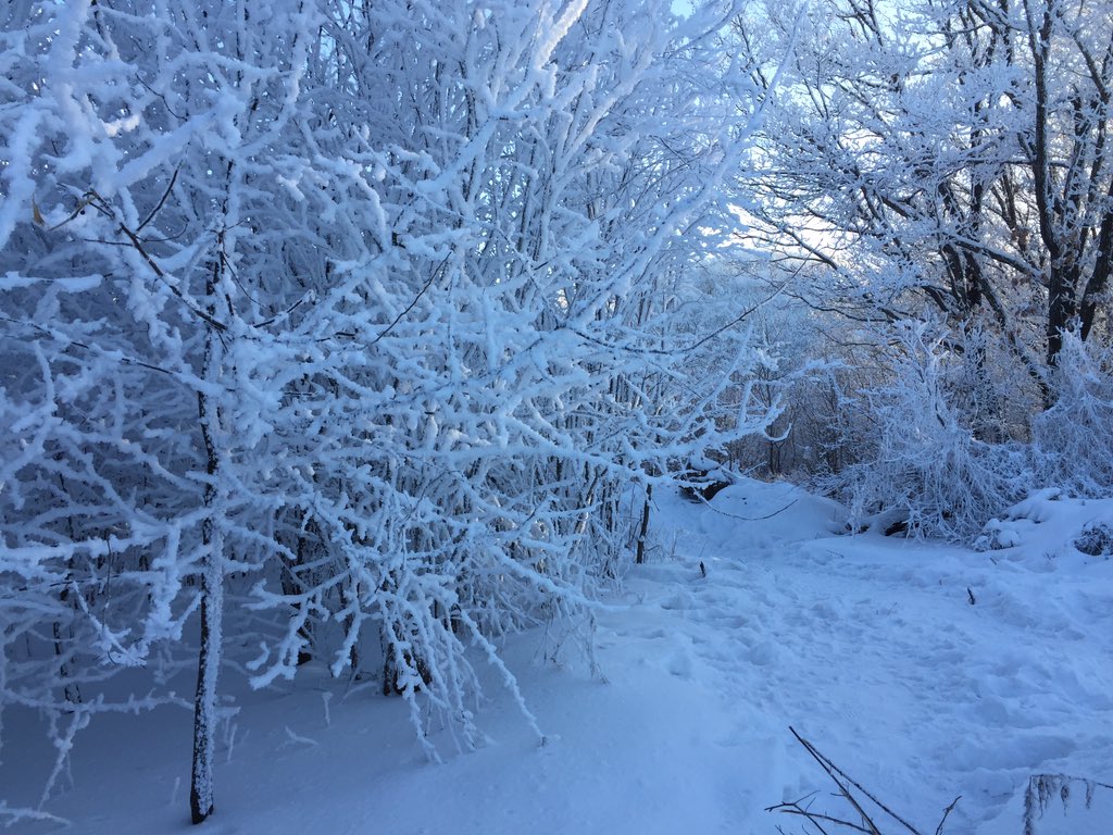 Always_shu's tweet photo. Ski resort around Beijing https://t.co/qSAbk9p1Zz