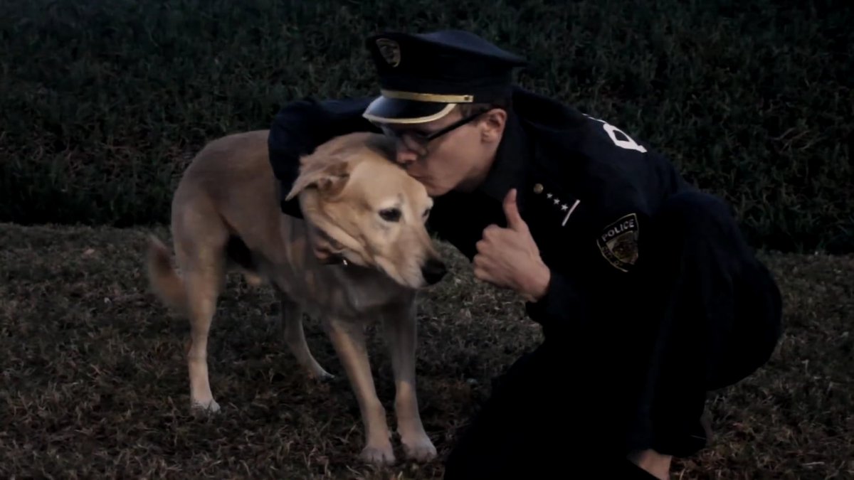 StubbornDoggo's tweet image. “ bORK- ”
&amp;gt; Ian's Doggo
&amp;gt; Golden Retriever
&amp;gt; Will Tear Up The Couch
&amp;gt; Enjoys Many Pets
&amp;gt; RTs Appreciated!