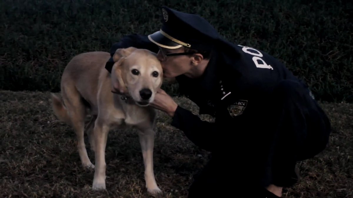 StubbornDoggo's tweet image. “ bORK- ”
&amp;gt; Ian's Doggo
&amp;gt; Golden Retriever
&amp;gt; Will Tear Up The Couch
&amp;gt; Enjoys Many Pets
&amp;gt; RTs Appreciated!