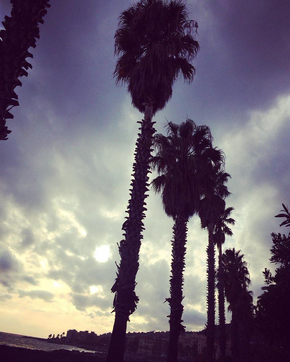 DraPoloFans's tweet photo. 2-1-2017 Que tengan un bendecido día  mis amigos!  ☀🌴 https://t.co/X2bysNIxY9