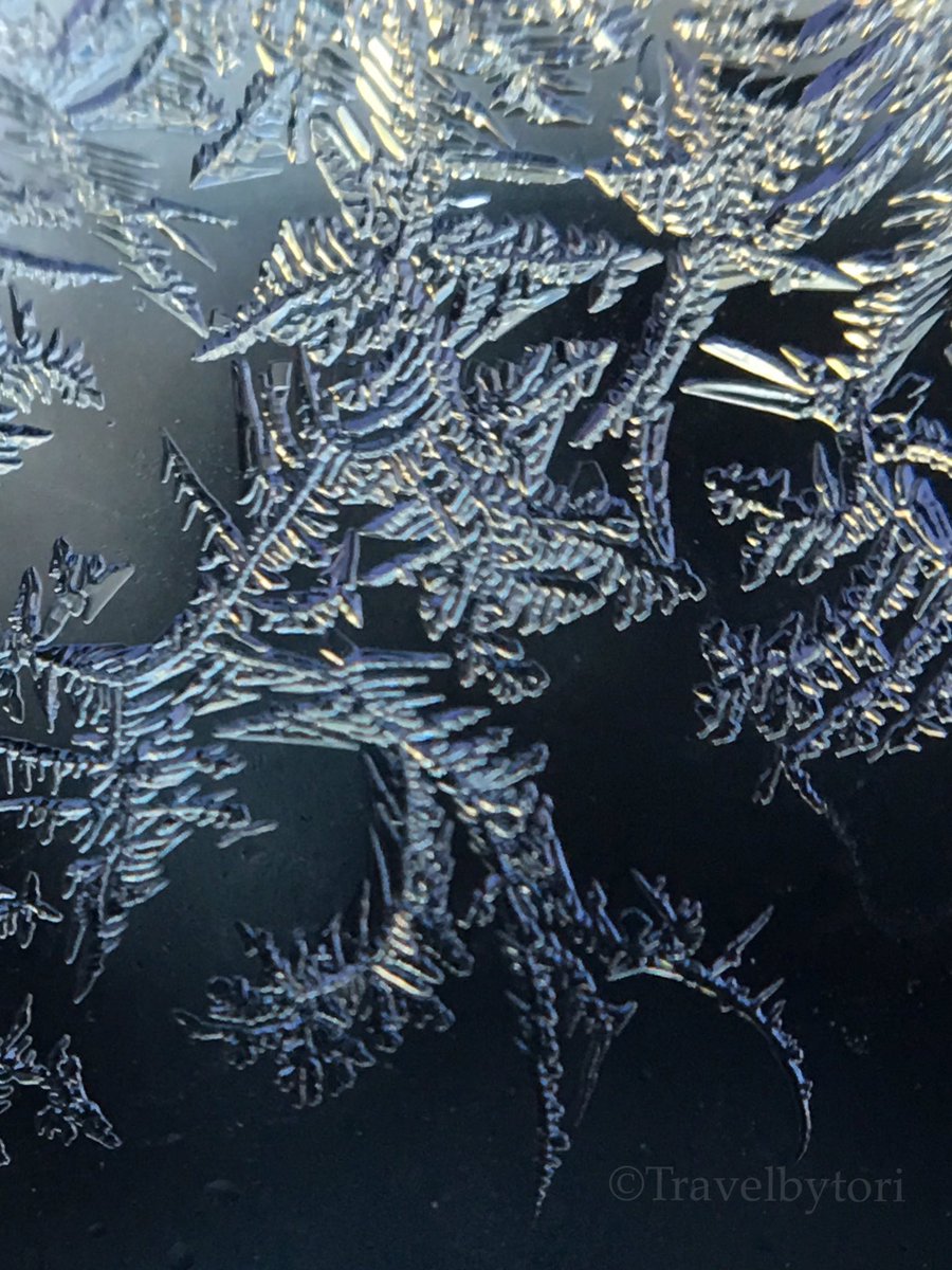 travelbytori's tweet image. #macro shot taken this morning in #scotland let me know what you think @PhotosAdvices @MacroPhotoFun @NatGeoTravel @NaturePhotoNet