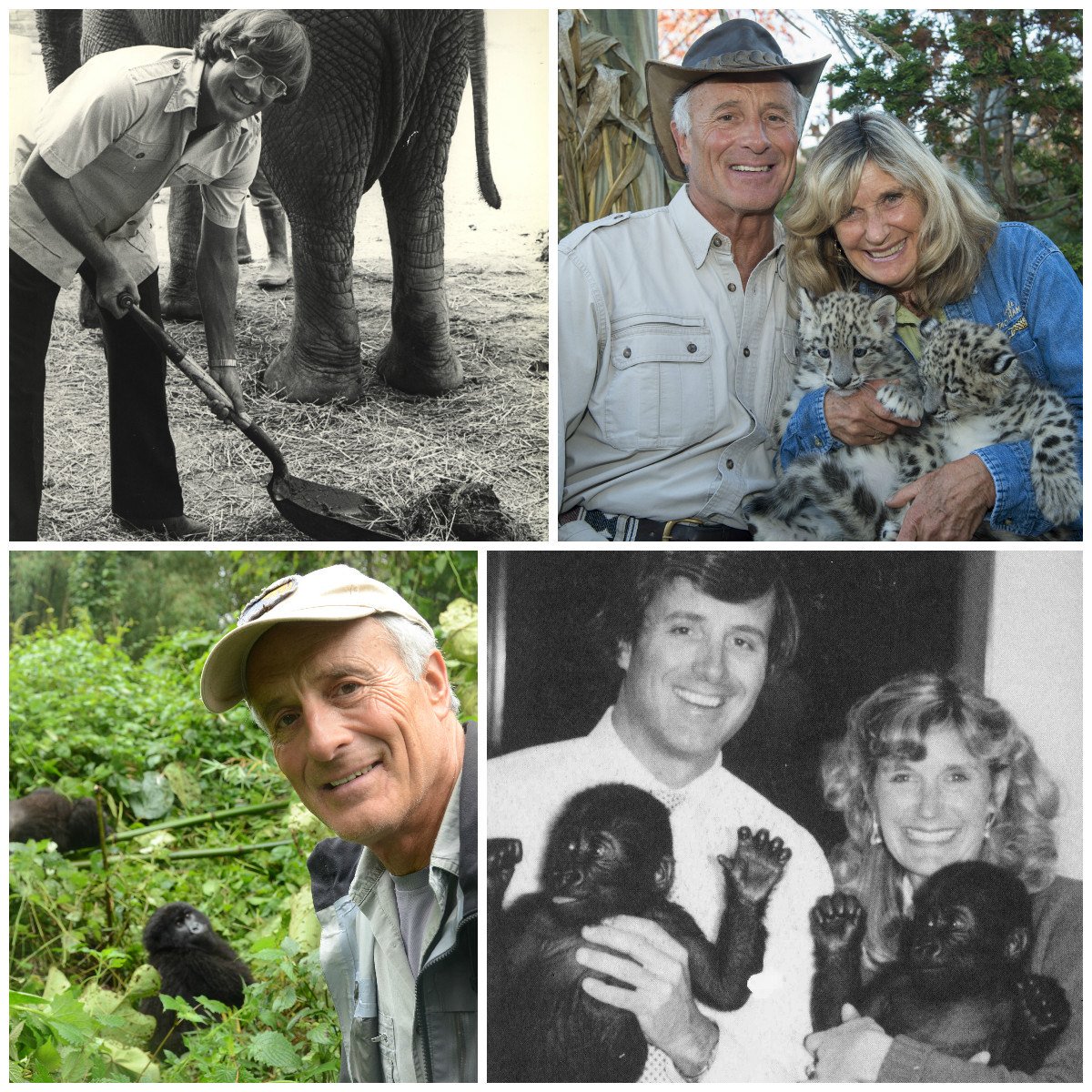 A very happy 70th birthday to What\s your favorite Jack Hanna memory? (Photo: 