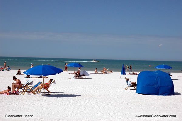 glightbourn's tweet photo. @MorningExp There's a lot of white on the ground here at Clearwater Beach. Happy New Year. https://t.co/pKUdLPXKoI