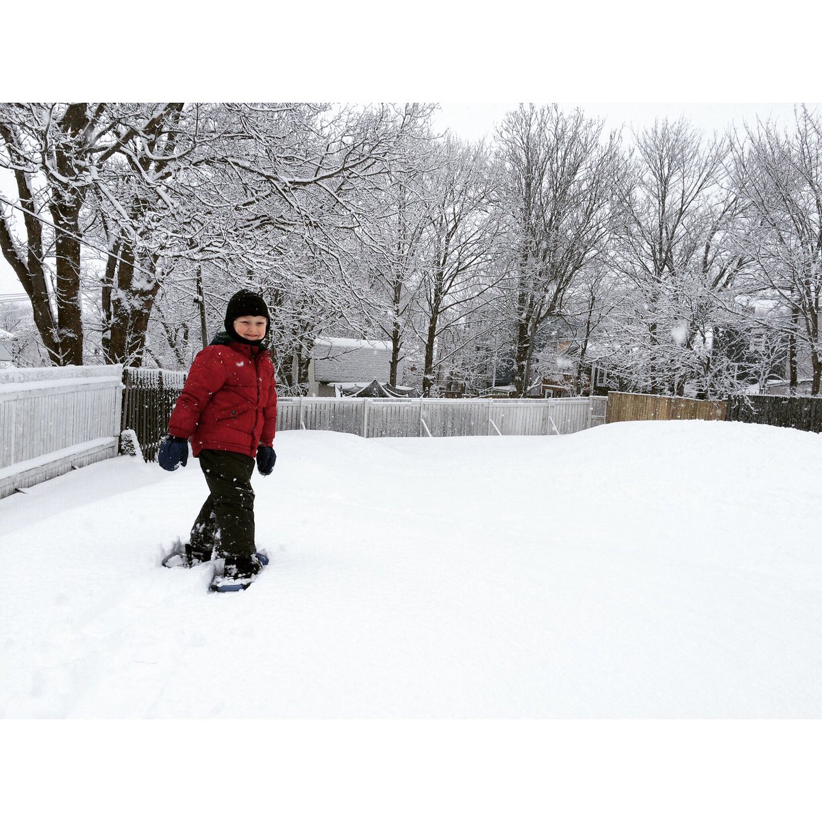 still. silent. snowy. mild. snowshoes. puppies. smiling child. today is what carols are made of.