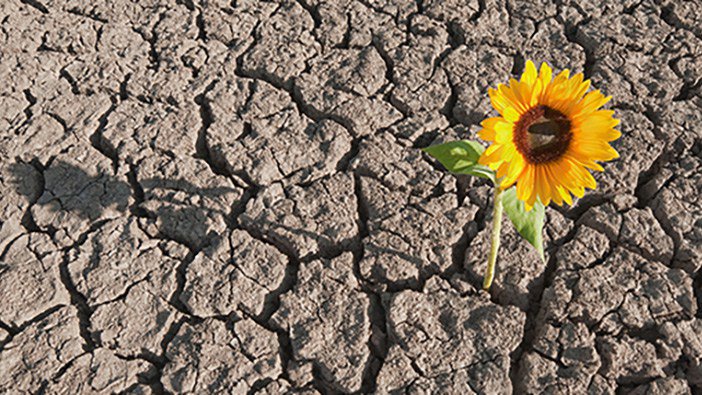 impossibleproj1's tweet photo. Building Emotional Resilience in 2017 https://t.co/vYP1N4Y6Yz https://t.co/iid9pLfaTh
