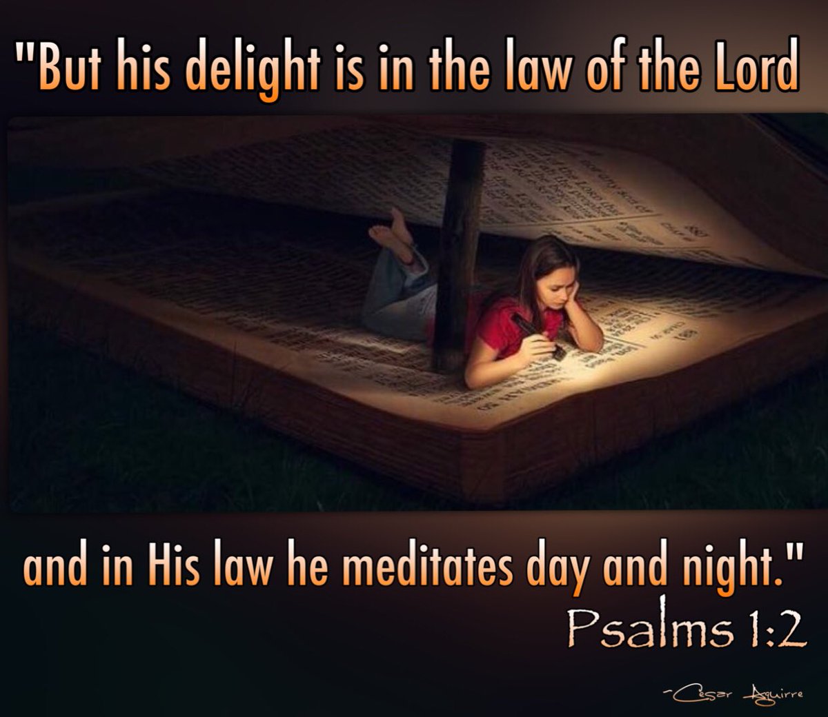 IFEFilms's tweet photo. #Devotional #WordOfGod #Bible in the #Book of #Pslms 1:2 ...and in HIS law he #Meditates #DayAndNight #NewYearsResolution 2017 #BibleVerse https://t.co/6FCkZDqVEG