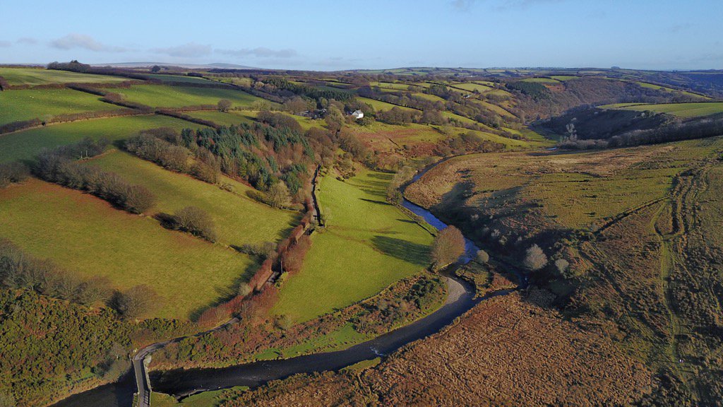 GreyMonkey0706's tweet photo. Landacre today https://t.co/okyWWeR7Vu