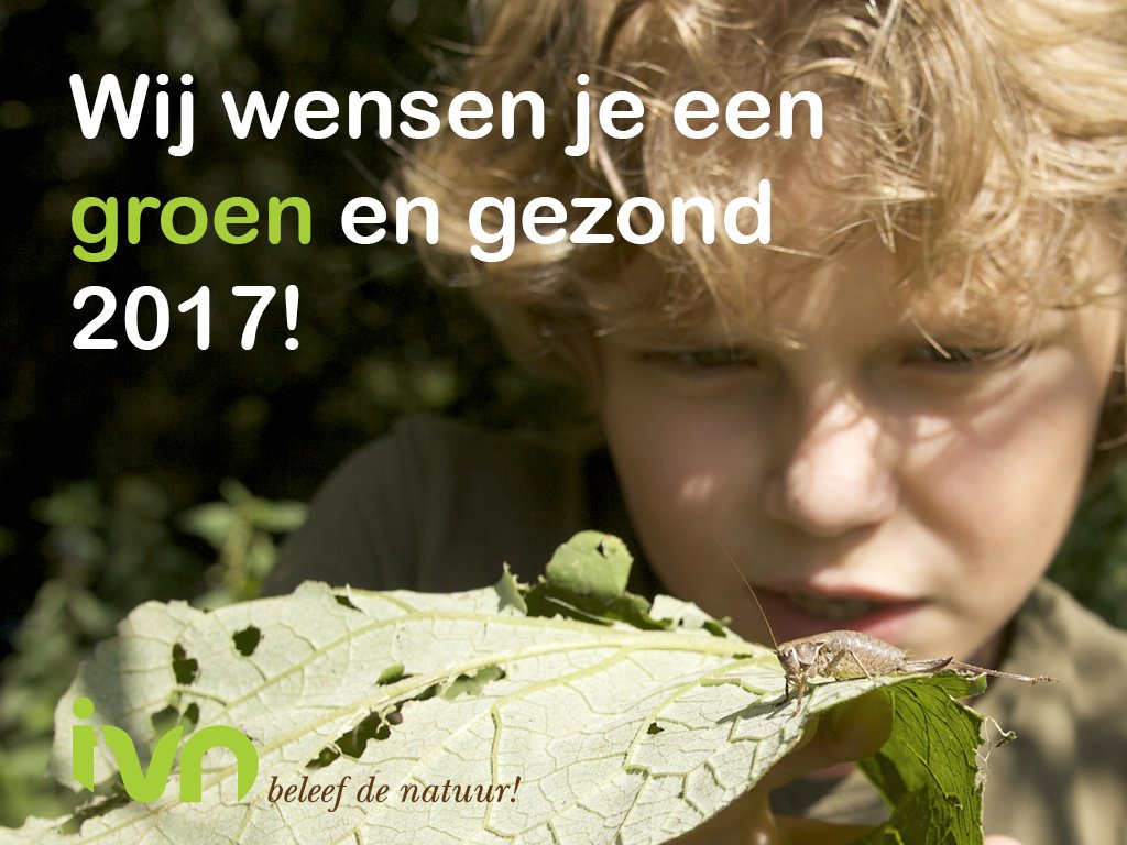 IVNNederland's tweet photo. Wij wensen je een groen en gezond 2017! Wat zijn jouw groene voornemens? Laat het ons weten met #groenevoornemens! https://t.co/g7VU7ivOop