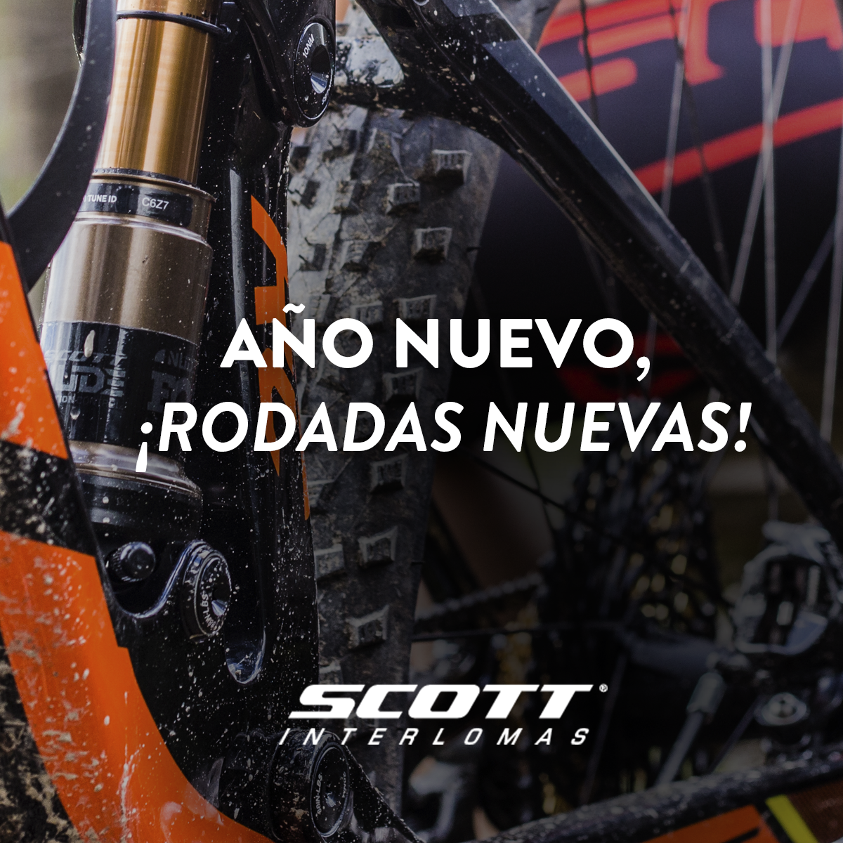 harden_hub's tweet photo. ¡Excelente inicio de semana!🚴🏼🚵 #ScottInterlomas #quenadatedetenga #ciclismo #bike #añonuevo2017 #teretoamoverte https://t.co/LcNAO6V6Gf