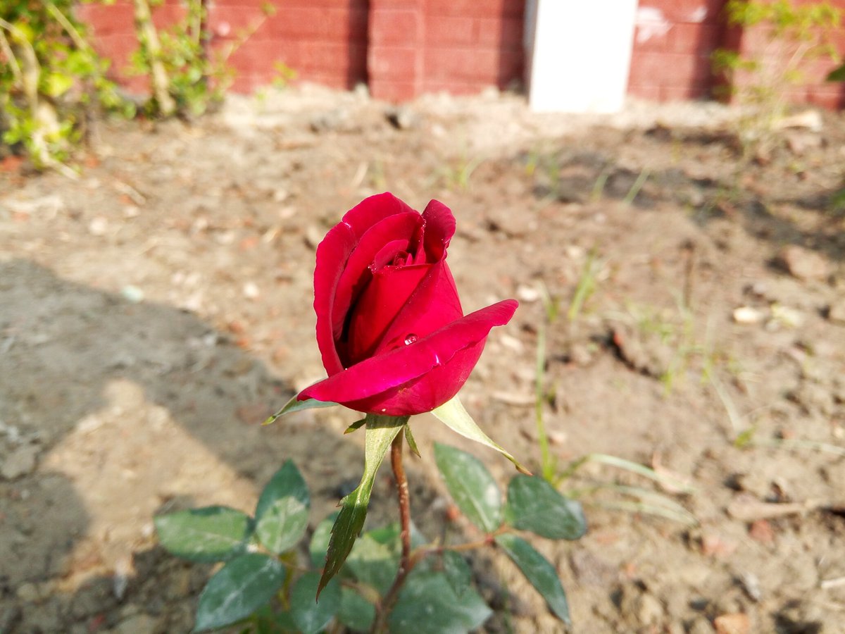 ariyankhan0's tweet photo. https://t.co/rSul7mb3cQ