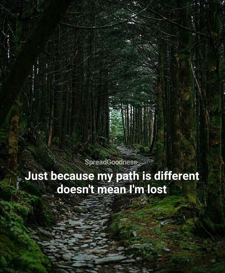 Spreadgoodness_'s tweet photo. Find your path. https://t.co/7UNxqzSfKF