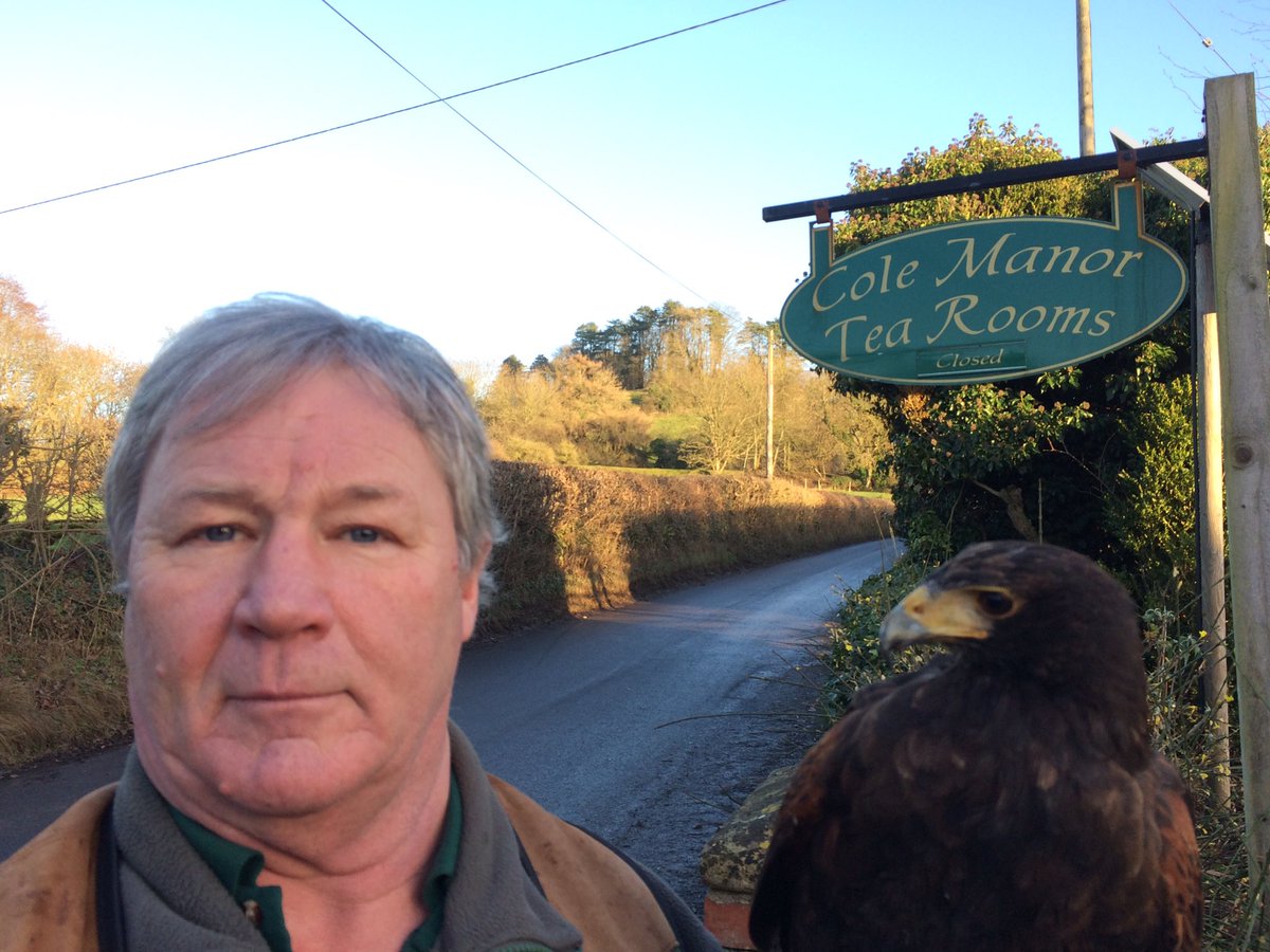 PRFalconry's tweet photo. Out flying Kea passed our favourite watering hole. @colemanortea but it is closed for January. Can't wait for the 7th February. #flyahawk. https://t.co/7hW46Mpf2v