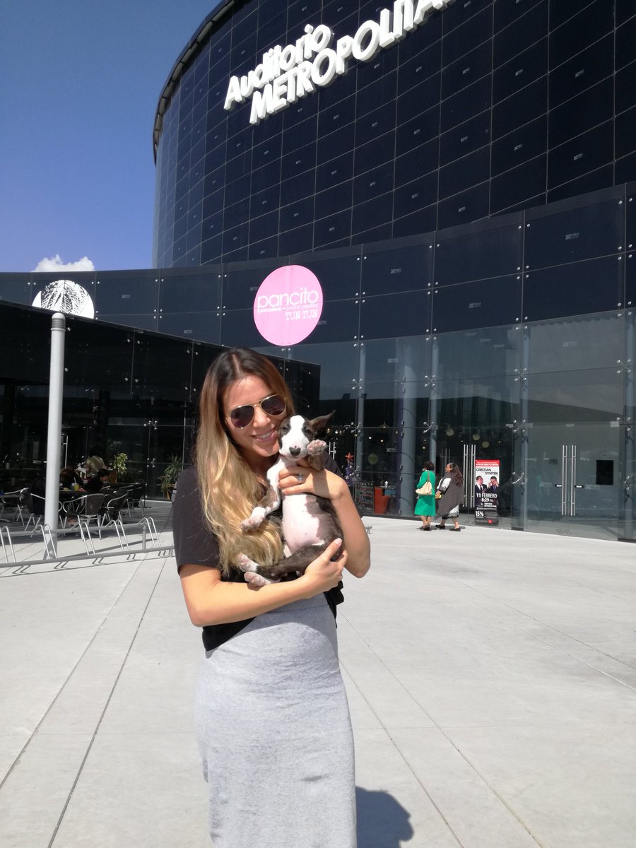 ponyandfuchi's tweet photo. Nuevo post en el blog, ideal para tus mascotas. Link: https://t.co/KdoAQlCmiA @PancitoTunTun https://t.co/4sqnY2CpLH